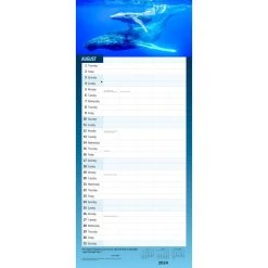 Busy Family 2024 Wall Calendar -Calendars Store 0331940f 7df0 44b6 8497 2dfabfc2bee9