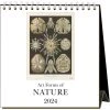 Art Forms Of Nature 2024 Easel Calendar -Calendars Store 034de4ff 7205 43bf b898 a9b2749d65ae