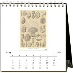 Art Forms Of Nature 2024 Easel Calendar -Calendars Store 0bf62f2f a4c4 4846 bc55 6e1ac9ce5d26