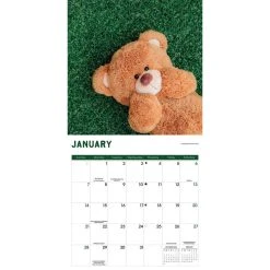Teddy Bears 2024 Wall Calendar -Calendars Store 1482f75e 9101 4141 936b 61cf720c0f2a
