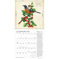 Backyard Foraging 2024 Wall Calendar -Calendars Store 19ee8b9f c643 4bf3 8e37 34f248e07940