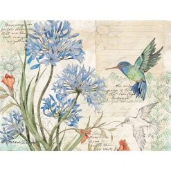 Field Guide All Occasion Note Card Set 15 Field Guide All Occasion Note Card Set -Calendars Store 201900015219 ALT2