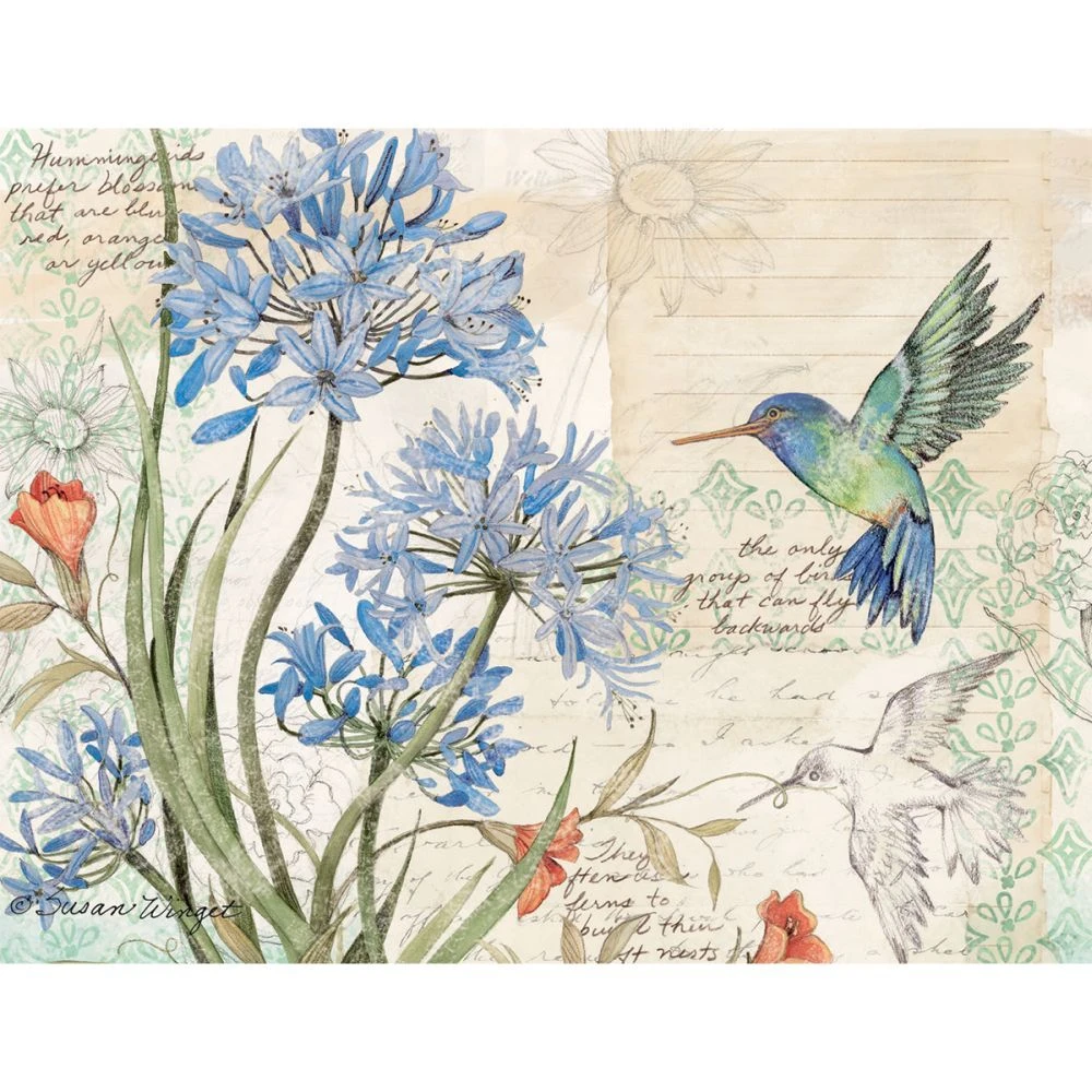 Field Guide All Occasion Note Card Set 5 Field Guide All Occasion Note Card Set - Image 3