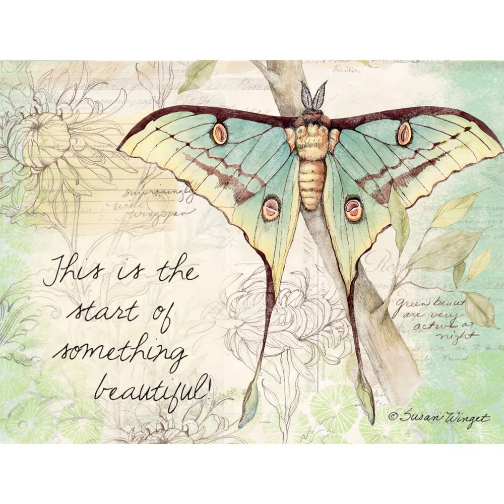 Field Guide All Occasion Note Card Set 6 Field Guide All Occasion Note Card Set - Image 4