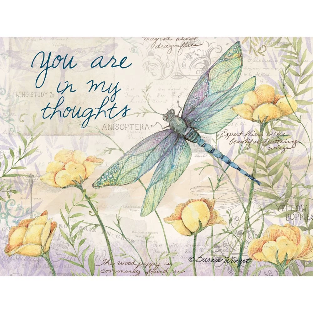 Field Guide All Occasion Note Card Set 10 Field Guide All Occasion Note Card Set - Image 8