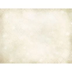 Owl Pinecone Boxed Christmas Cards -Calendars Store 202100015051 ALT3