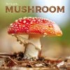 Mushroom Art 2024 Wall Calendar 2 Mushroom Art 2024 Wall Calendar -Calendars Store 202400003919