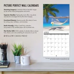 Rainbows 2024 Wall Calendar -Calendars Store 202400004053 ALT4