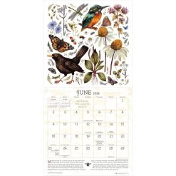 Praise For The Pollinators 2024 Wall Calendar -Calendars Store 27268084 a189 4348 aab5 b19689f59a5d