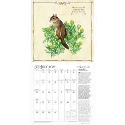 Backyard Foraging 2024 Wall Calendar -Calendars Store 28430536 d110 4bc9 87c8 18c2aa050dfc