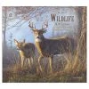 Wildlife Hautman 2024 Wall Calendar -Calendars Store 34da9654 e2b3 4104 9d5a 9dde4f5540d2