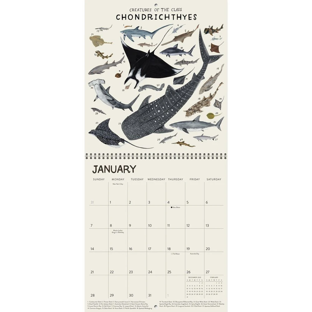 Orders Of The Animals Designer 2024 Wall Calendar 5 Orders Of The Animals Designer 2024 Wall Calendar - Image 3
