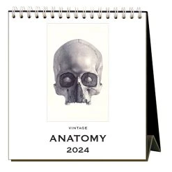 Anatomy 2024 Easel Desk Calendar