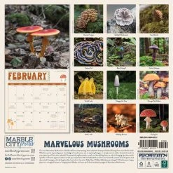 Marvelous Mushrooms 2024 Wall Calendar -Calendars Store 49467d80 3859 475b 8495 c7b2c413a77a