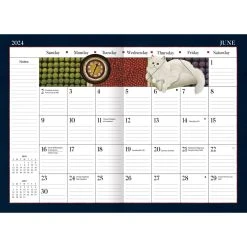 American Cat 2024 Monthly Planner -Calendars Store 6631ae8a 39fe 4d84 a192 f3a2b1dfdcc2