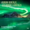Aurora Borealis 2024 Wall Calendar -Calendars Store 6ef67d95 a832 4803 a97e 35b7d48b19b4