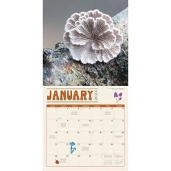 Marvelous Mushrooms 2024 Wall Calendar -Calendars Store 80585c17 d4b9 4d77 8c83 d71aa3b4722d