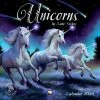 Unicorns Stokes 2024 Wall Calendar