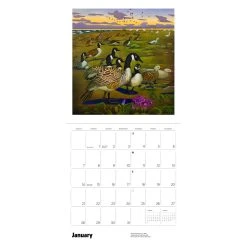 Hassell In The Wild 2024 Wall Calendar 7 Hassell In The Wild 2024 Wall Calendar -Calendars Store 97819916 fab7 4091 b79f 64e8635ab74c