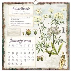 Abstract Floral 2024 Wall Calendar -Calendars Store 9cb59967 5c32 4967 b92d 2ecd08cc8446