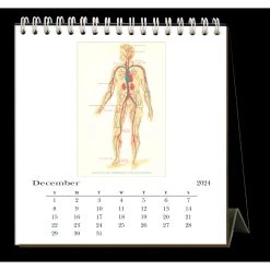 Anatomy 2024 Easel Desk Calendar -Calendars Store a10303be 8303 45e7 87fb 81baaf712b7e