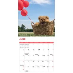 Teddy Bears 2024 Wall Calendar -Calendars Store ad3e23c2 6e9a 4981 bd02 7e6dd2734b5d