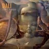 Dali 2024 Wall Calendar 1 Dali 2024 Wall Calendar -Calendars Store b0b0494f 1c39 4794 9a5e 2968f29dd7c8