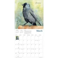 Pendleton Birds 2024 Wall Calendar 8 Pendleton Birds 2024 Wall Calendar -Calendars Store b10a9014 8989 4ceb 9531 8a52d053fe18