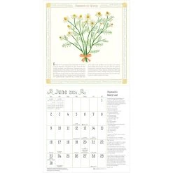 Kitchen Magical Food 2024 Wall Calendar -Calendars Store b7d1b291 c8dc 44c7 87e3 348feef8163e
