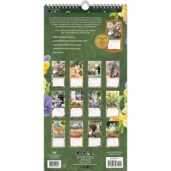 Cats In The Country Vertical 2024 Wall Calendar -Calendars Store b7f4708e 95d5 4d6e 985e ff3a8302ab5f