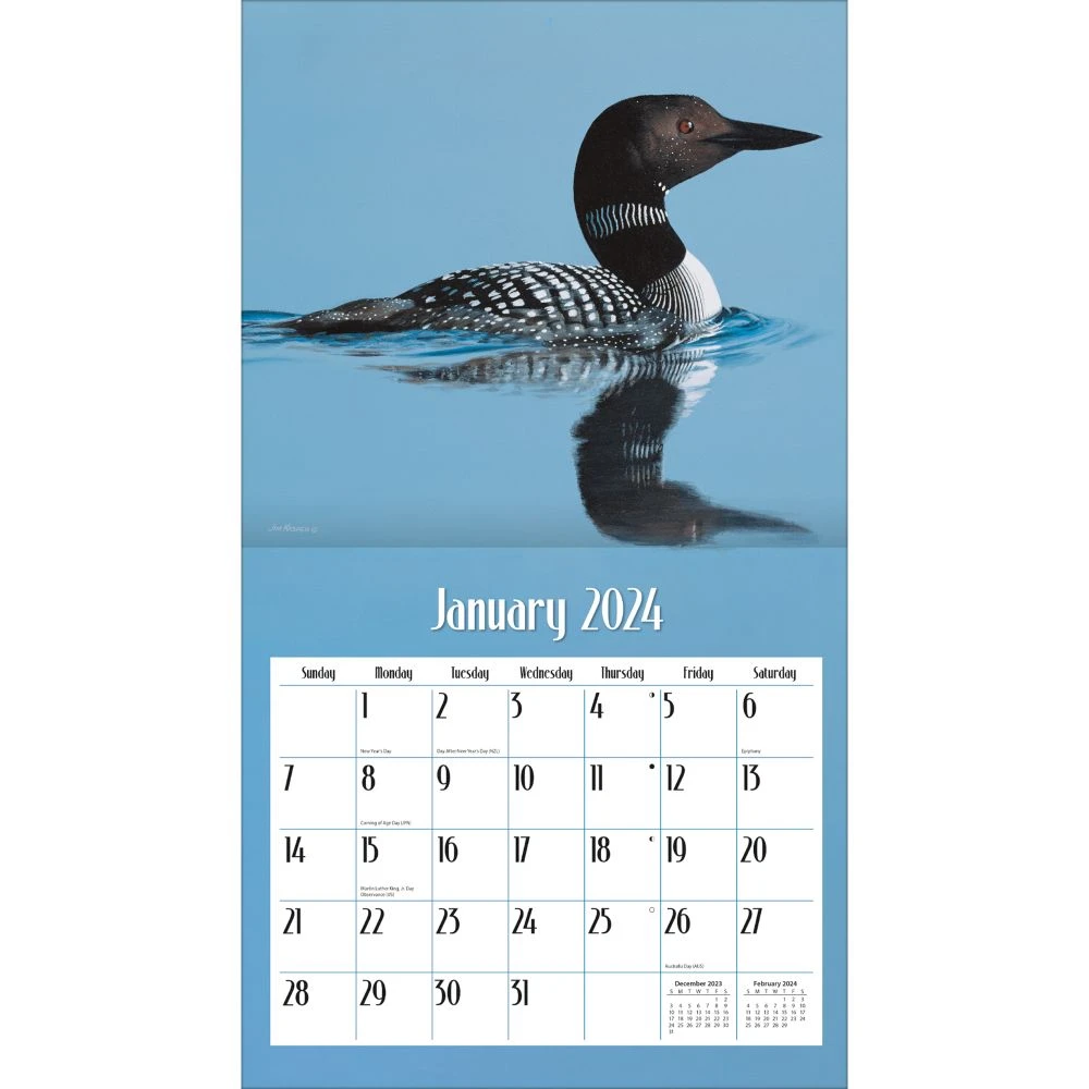 Loons On The Lake 2024 Wall Calendar 5 Loons On The Lake 2024 Wall Calendar - Image 3