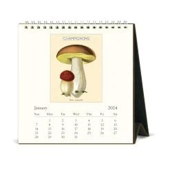 Mushrooms 2024 Easel Desk Calendar -Calendars Store bf5677ad 49da 410a b9db ff7796cd2151
