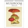Mushroom Poster 2024 Wall Calendar -Calendars Store c9ce75ac 1d71 467f b5ef 30af7ba25b7a