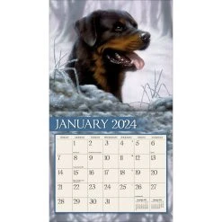 Love Of Dogs 2024 Wall Calendar -Calendars Store cc7fa514 134d 46ab aeea 298c28a2f863