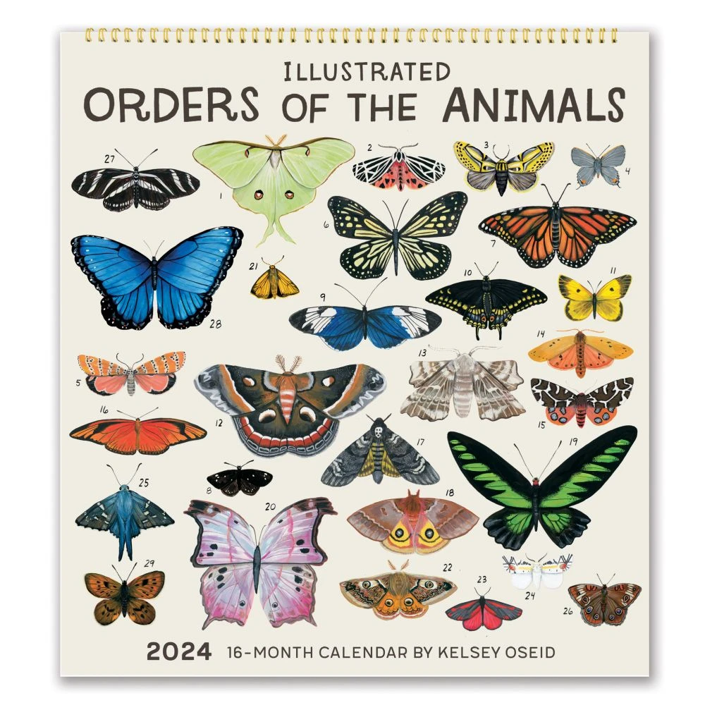 Orders Of The Animals Designer 2024 Wall Calendar 3 Orders Of The Animals Designer 2024 Wall Calendar