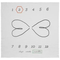 Hello Baby Milestone Blanket -Calendars Store d23fe1ef 1e3a 45bf ac22 940eabfd0a9f