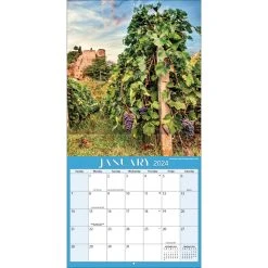 Vineyards 2024 Wall Calendar -Calendars Store d2826a1d f4b9 469b aaf0 d9191eed93f4