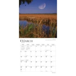 Moons 2024 Wall Calendar 12 Moons 2024 Wall Calendar -Calendars Store d2ac52f8 f6df 4693 bf53 777590de10e1
