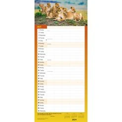 Busy Family 2024 Wall Calendar -Calendars Store d4708e37 ba25 4d96 9995 87be2e5f0b5d