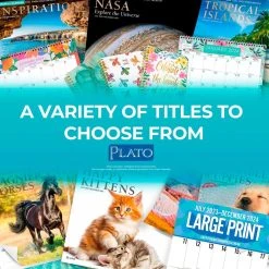 Turnowsky Abstract 2024 Desk Pad -Calendars Store d9736637 bff0 4b5a 922f ca1db25954ed