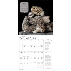 Super Foods 2024 Wall Calendar -Calendars Store ddfe5260 9f31 4ba0 8198 ea49245c0785