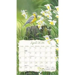 Songbirds 2024 Wall Calendar -Calendars Store ffc02aa0 02d6 4d5d 9893 5ceac845d7d5